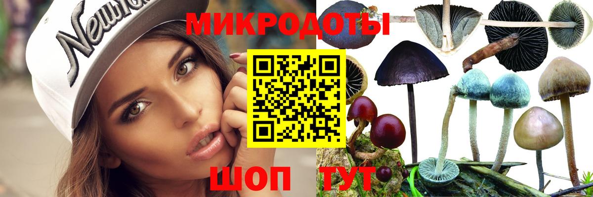Нарткала  Псилоцибиновые грибы Psilocybe  Псилоцибиновые грибы Psilocybe  Вход с VPN 